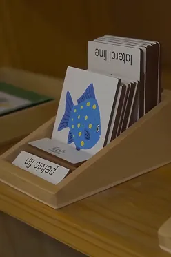 Concept illustration: Printed cards displayed in a wooden tray